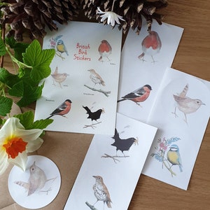 Vogel Aufkleber. Britische Vogel Aufkleber. Englische Gartenvögel. Vogel Geschenk. Vogel vorhanden. Englische Vogel Aufkleber. Rotkehlchen Aufkleber. Zaunkönig Sticker