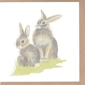 Bunny card. card with  bunnies. Bunny drawing. painting of a bunny. Bunny birthday card. card with a rabbit. painting of a wild rabbit