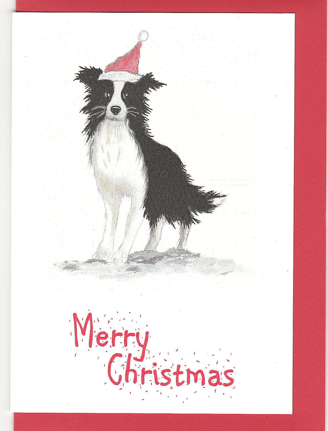Border Collie Christmas Card. Border Collie Card. Christmas Card With ...