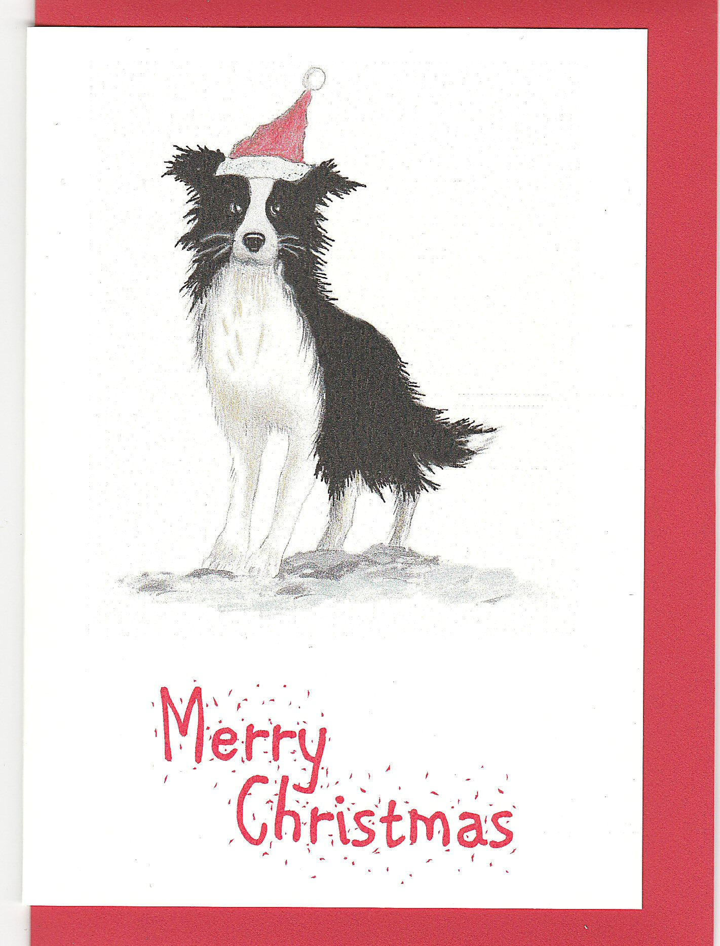 Border Collie Christmas card. Border collie card. Christmas  Etsy