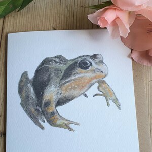 Frog card. Green frog. British frog. Card with a frog. Frog gift. Frog card. Frog watercolour. Frog painting. Frog illustrations. Amphibian