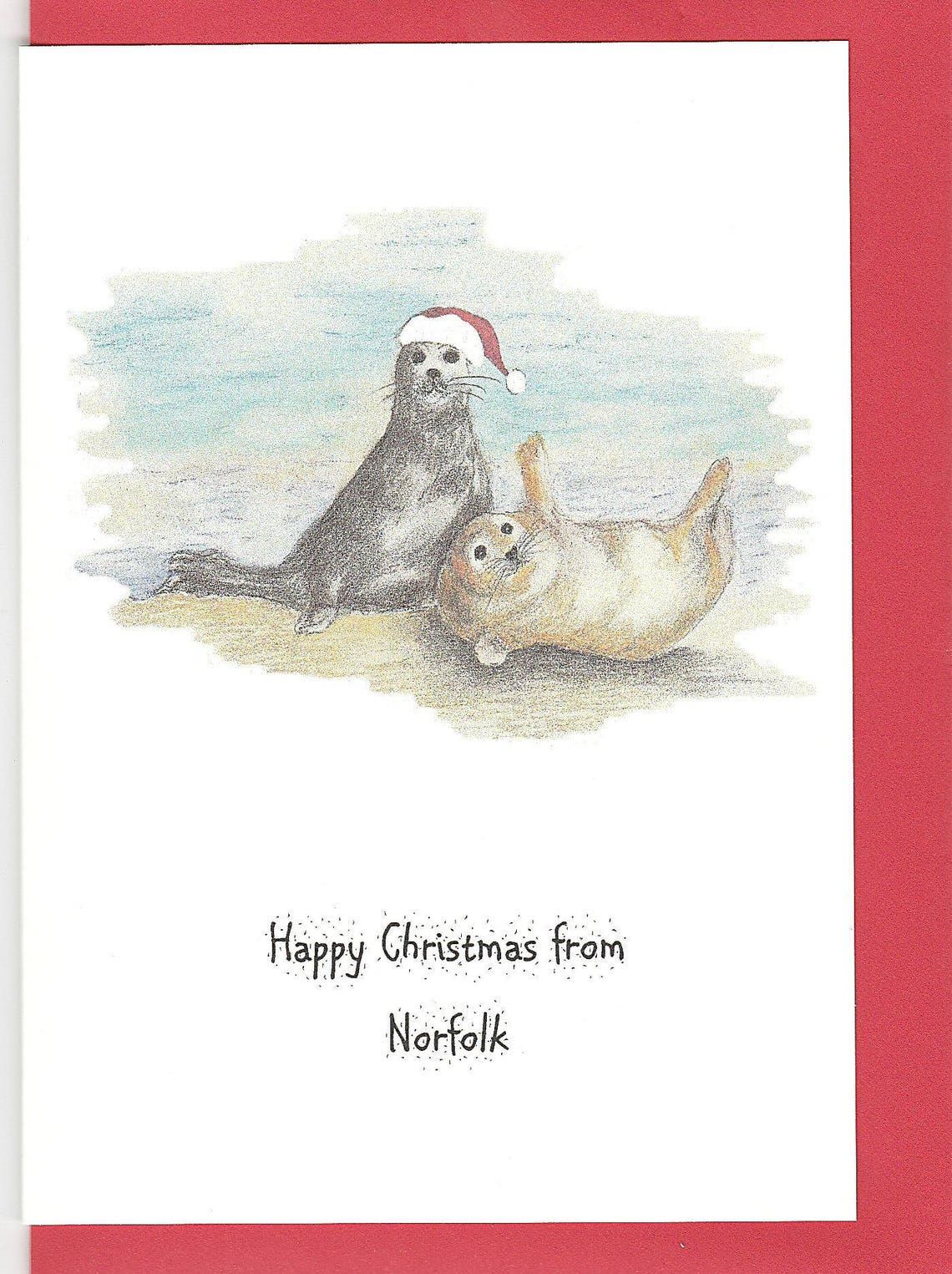 Seal Christmas Card. Christmas Card With a Seal. Norfolk Seal. Etsy