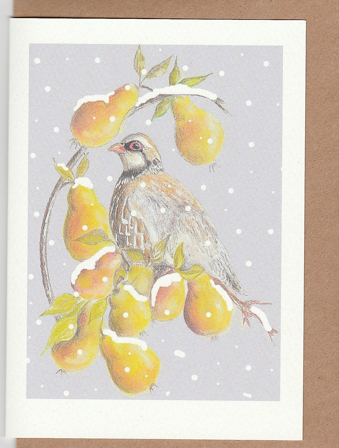 Partridge in a Pear Tree Christmas Card. Partridge in the Snow. Bird