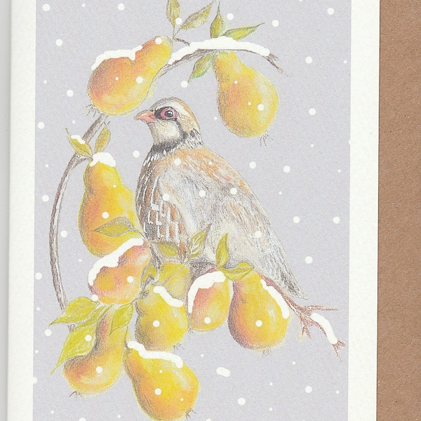 Partridge in a Pear Tree Christmas card. Partridge in the snow. Bird christmas card. Traditional christmas card. christmas bird. bird card