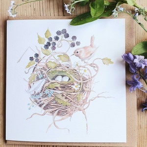 Zaunkönig und Nest Karte. Zaunkönig Aquarell Karte. Karte mit einem Zaunkönig. Zaunkönig Geschenk. Zaunkönig vorhanden. Britische Vogelkarte. Vogelkarte. Garten Vogel Karte.