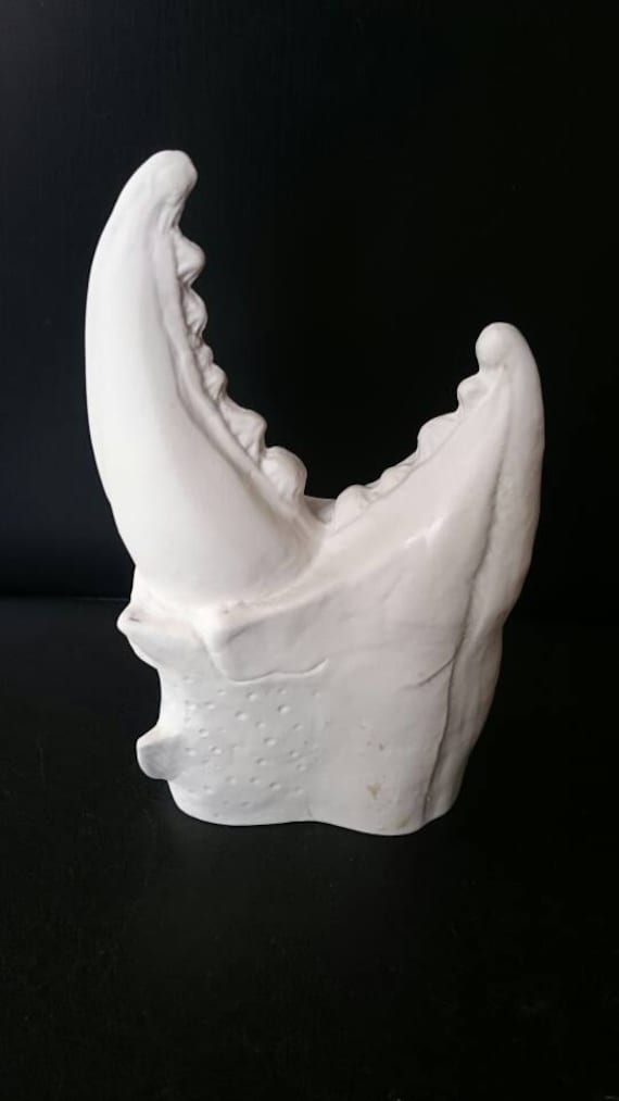 The Kraken – Tiki Mug Claw of the Abyss