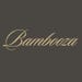 Bambooza store logo