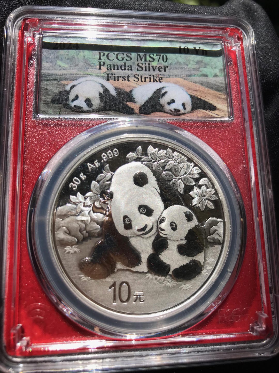 2024 1st Strike Red Label Panda Coin~perfect MS70 Coin~30 Grams .999 ...