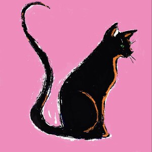 black cat on pink