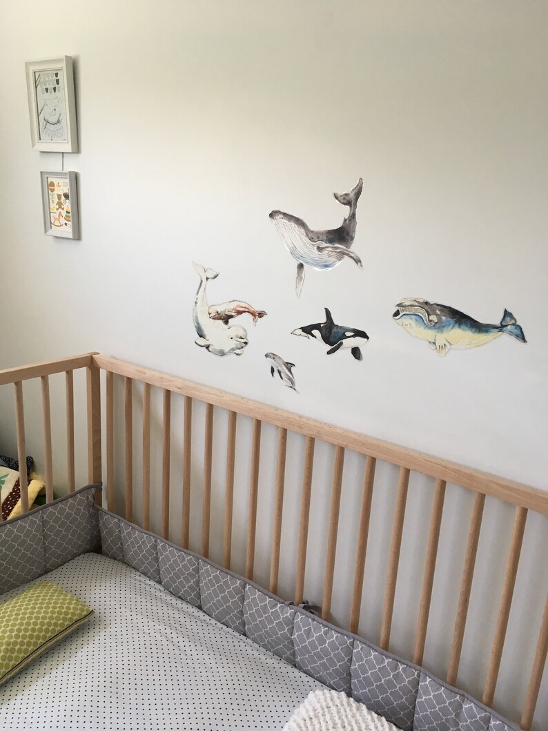 Appliqué mural, autocollant mural Baleines, mammifères marins 5 appliqués muraux, vinyles