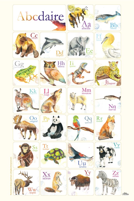 Affiche Abecedaire Des Animaux Pour Enfant Illustre Cathy Etsy