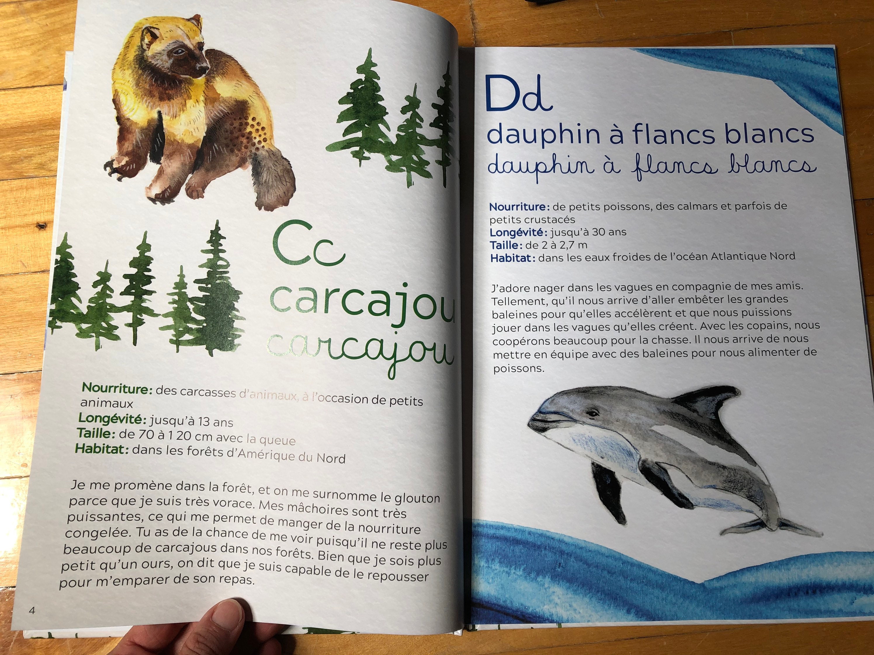 Livre Mon Abécédaire Des Animaux Du Québec Cathy Faucher - Etsy