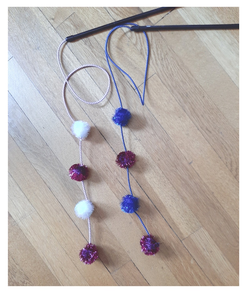 May include: Two cat toys with strings and pom-poms. One string has white, red, and purple pom-poms. The other string has blue and red pom-poms.
