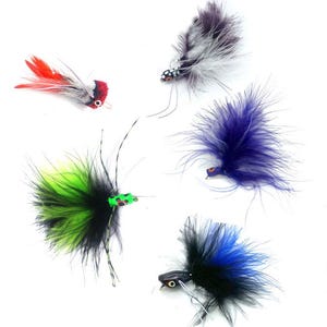 Può includere: Una collezione di cinque esche da pesca con piume colorate e fibre sintetiche. Le esche includono un design rosso e grigio, un motivo a pois bianco e nero, un piumaggio viola solido, un mix verde neon e nero e una combinazione blu e nera.