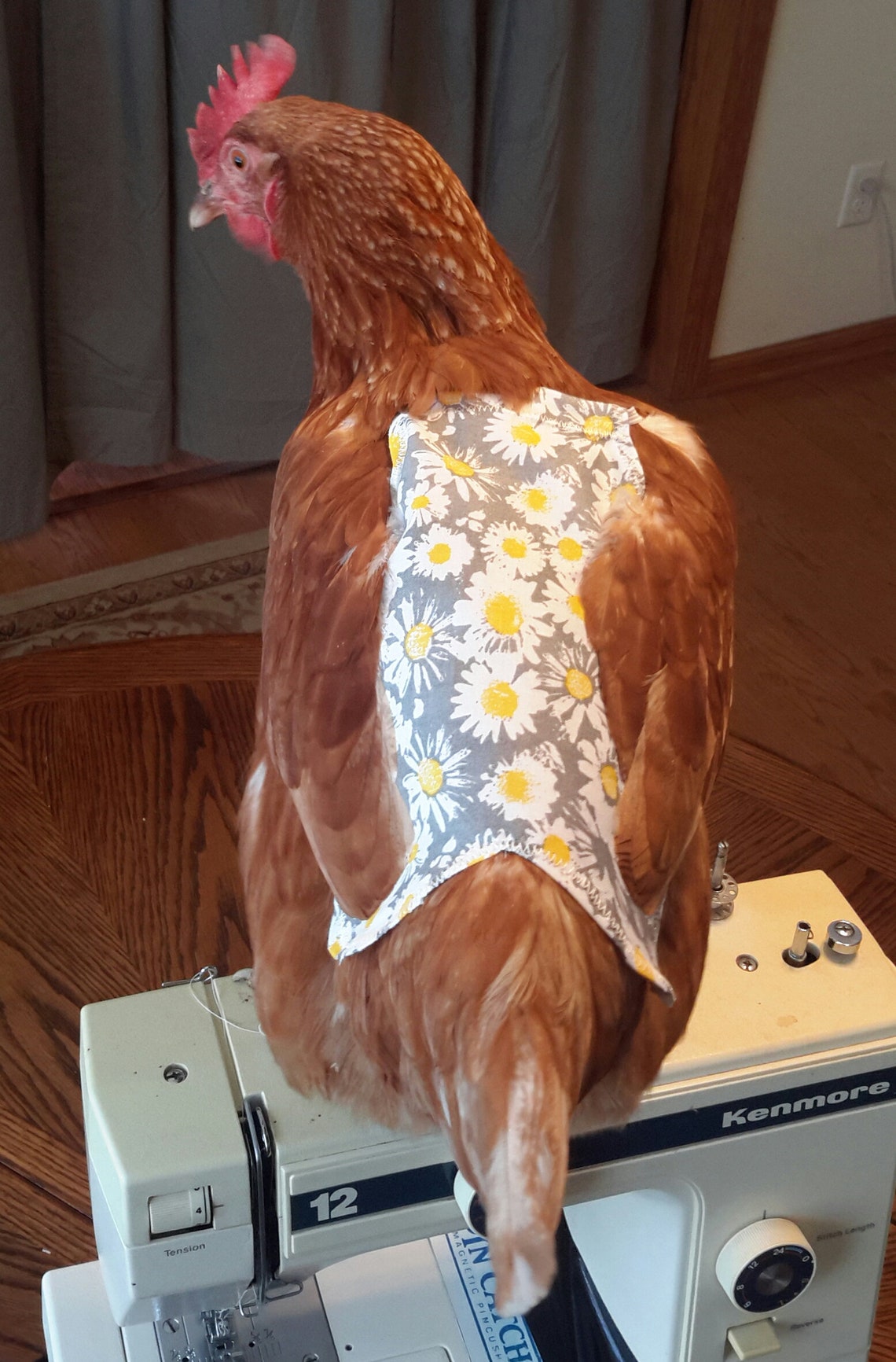 52 Free Pack Chicken Jackets/ Saddles/aprons. Hen Aprons. Hen Etsy
