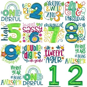 Kids Birthday Sayings - 24 Machine Embroidery Designs - Multiple Sizes Included - Birthday Embroidery Designs, Birthday Sayings