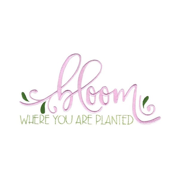 Bloom Where You Are Planted - Machine Embroidery Design - 4x4 5x7 6x10 8x8 Sizes Included - Spring Embroidery Design