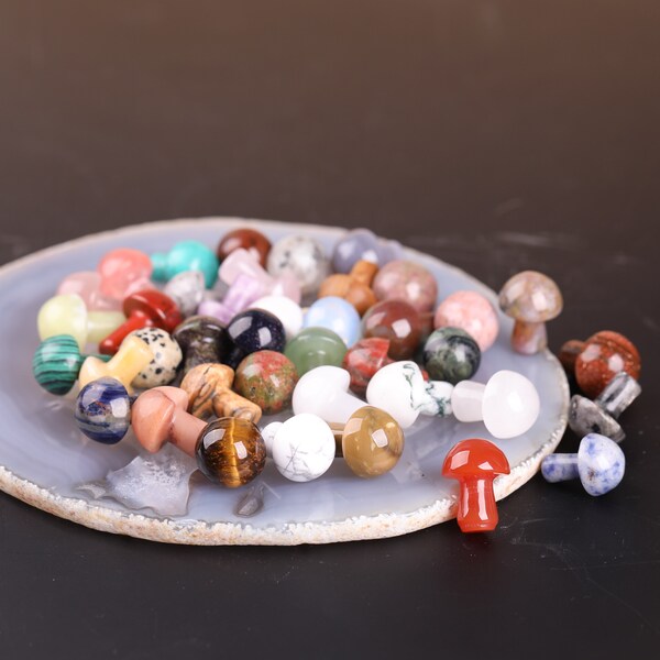 40 Assorted 20mm Mini Stone Mushroom,Pocket Stone,Healing Crystal,Home Decor,Crystal Gemstone Gift Different Mystery Bag Options Crystals