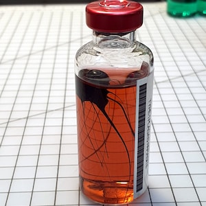 May include: A clear glass bottle with a red lid contains a dark red liquid with black stringy objects inside. The bottle has a white label with the text "TYPE 1 PLUG PASTE" printed on it.