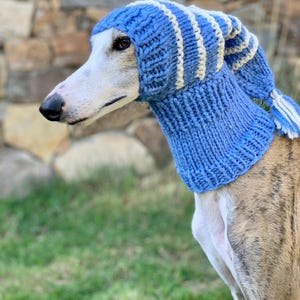 Greyhound hat, Greyhound - Galgo - Sighthound hat, greyhound hat,