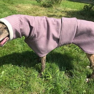 Greyhound coat, greyhound coat, greyhound clothing, greyhound winter coat,