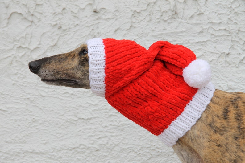 greyhound beanie