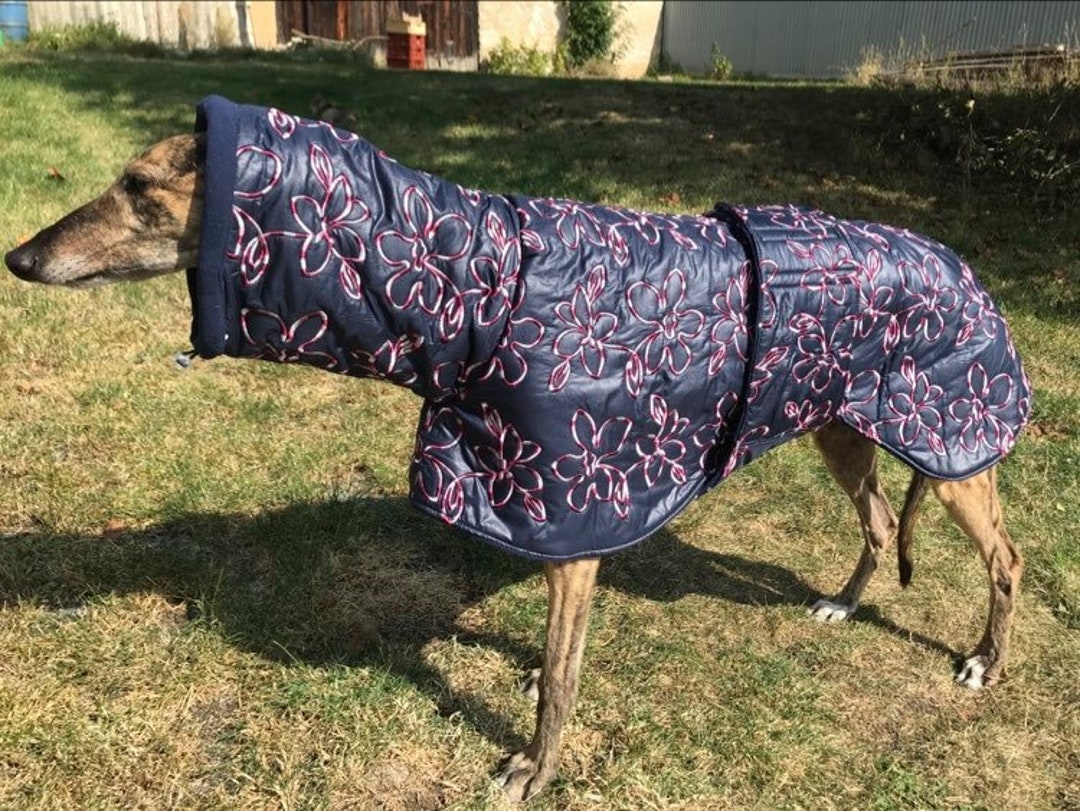 Greyhound Coat, Greyhound Clothing, Greyhound Winter Coat, Etsy