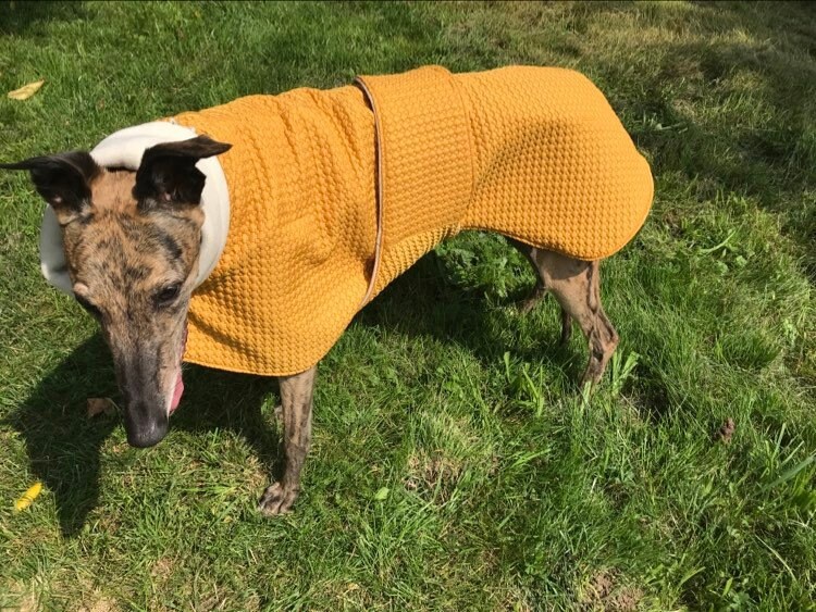 Greyhound Coat Greyhound Coat Greyhound Clothing Greyhound Etsy