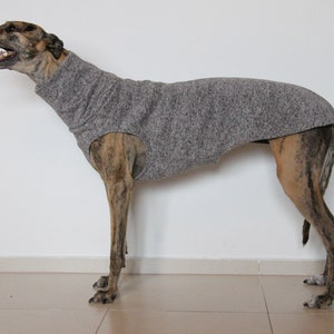 Greyhound clothing, greyhound sweater, , greyhound coat, greyhound - galgo clothing