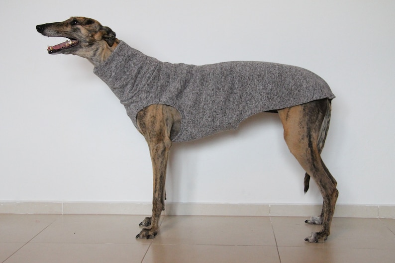 Greyhound Clothing Greyhound Sweater Whippet Greyhound Etsy