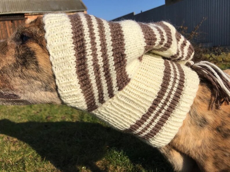 Greyhound greyhound hat, Sighthound hat Galgo Greyhound hat