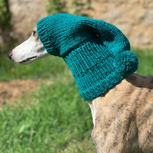 Greyhound hat, Greyhound - Galgo - Sighthound hat, greyhound hat,