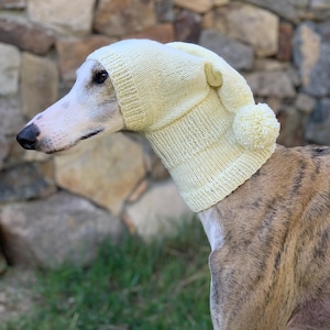 Greyhound hat, Greyhound - Galgo - Sighthound hat, greyhound hat