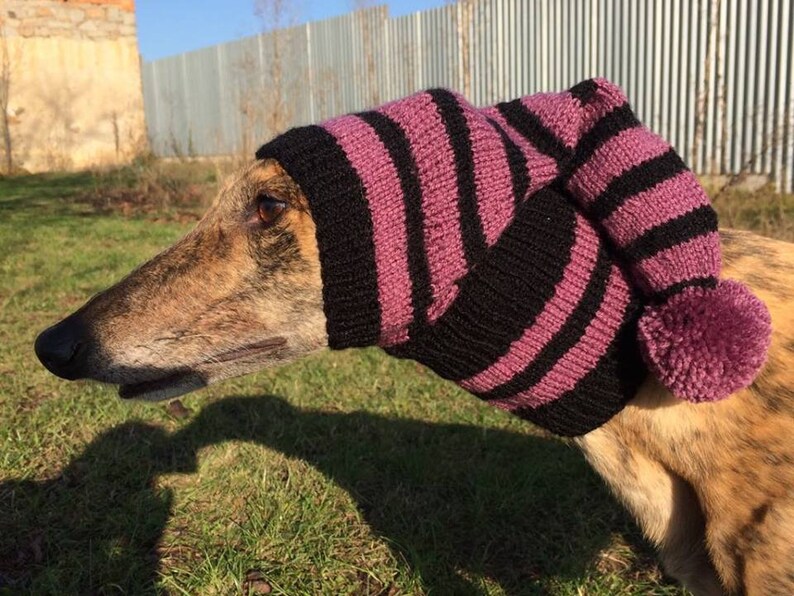 Greyhound Hat Greyhound Galgo Sighthound Hat Greyhound - Etsy