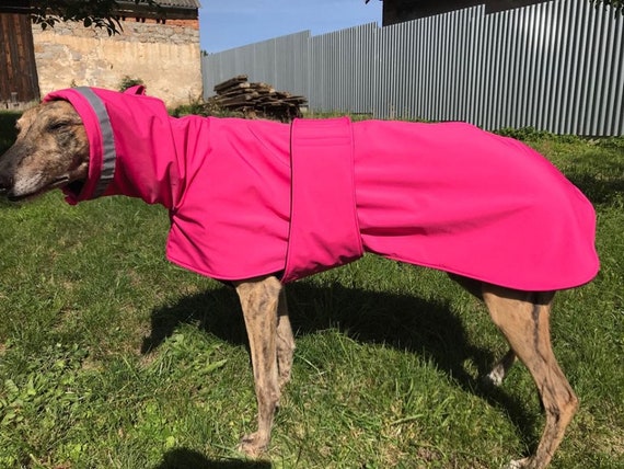 gap greyhound coats
