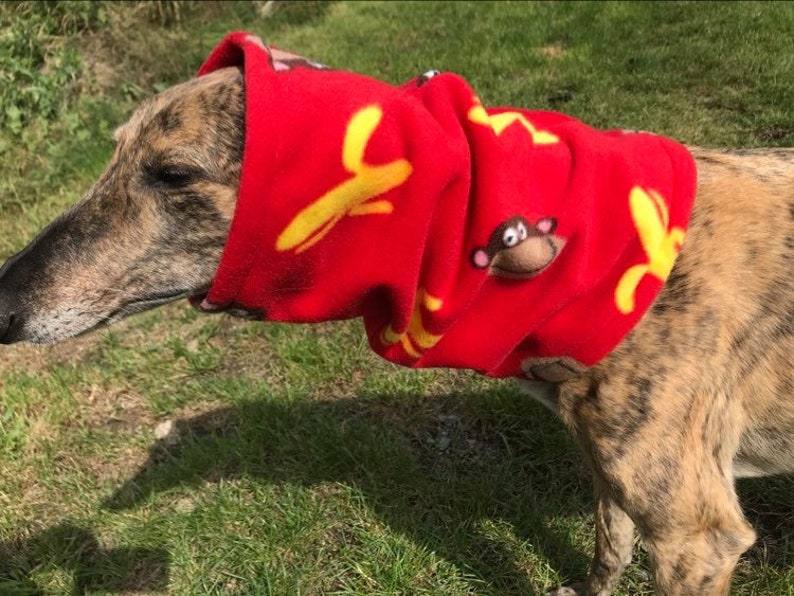 Greyhound greyhound hat, Sighthound hat Galgo Greyhound hat