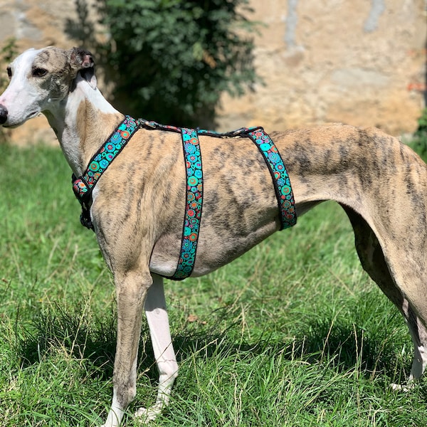 Greyhound harness, galgo ,whippet, galgo, podenco, dog harness