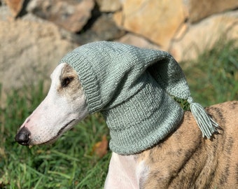 Greyhound hat, Greyhound - Galgo - Sighthound hat, greyhound hat