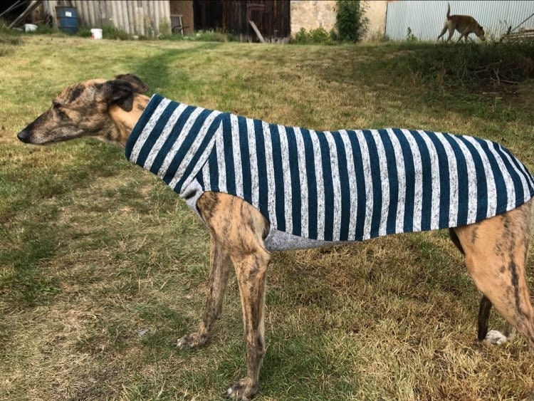 Greyhound sweater, greyhound pajamas, greyhound coat, greyhound clothing ,- galgo clothing