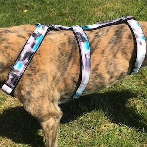 Greyhound harness, galgo, dog harness