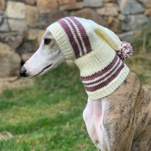 Greyhound hat, Greyhound - Galgo - Sighthound hat, greyhound hat