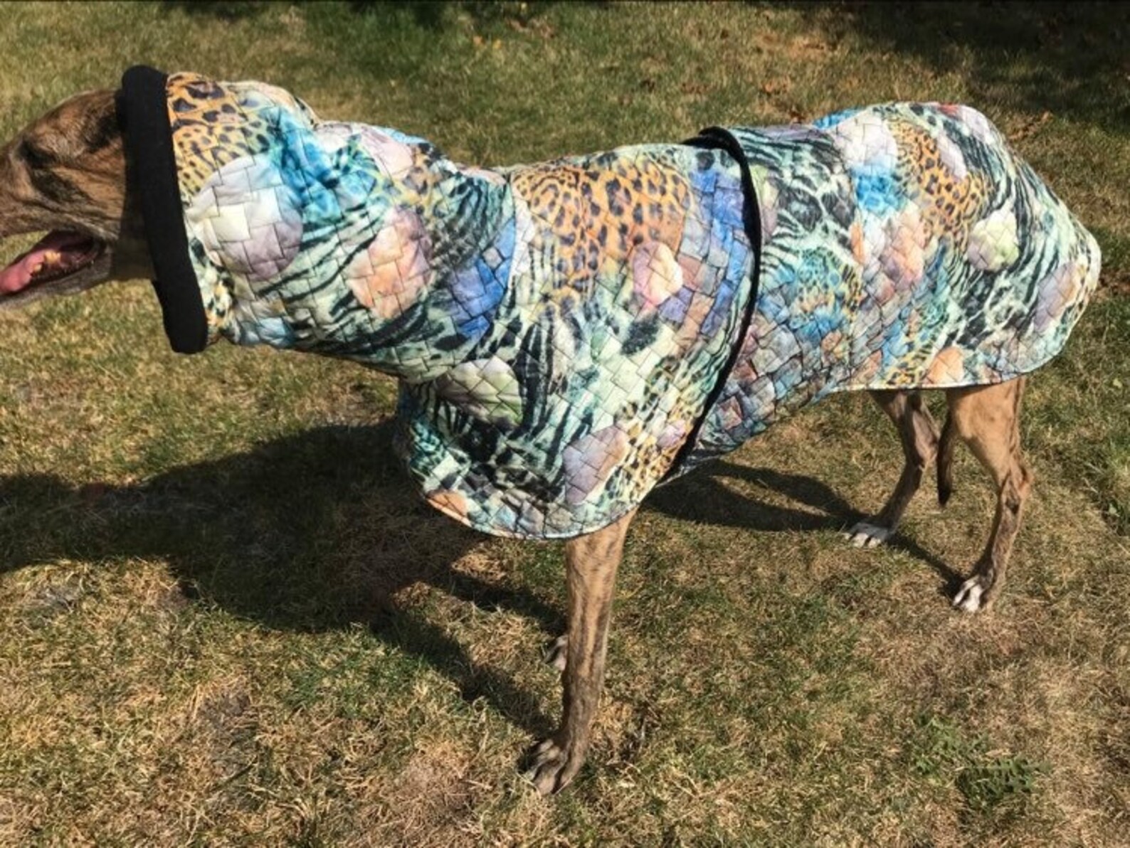 Greyhound Coat Greyhound Clothing Greyhound Winter Coat Etsy