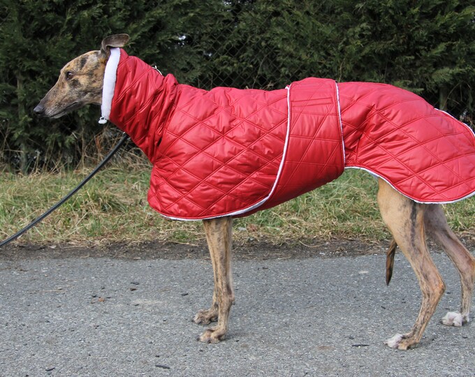 Greyhound Coat, Greyhound Clothing, Greyhound Winter Coat, Red Coat Etsy