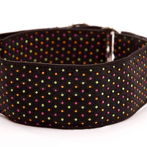 Martingale Kragen, Windhund Kragen, 2 Zoll, Hundehalsband, Martingale Kragen, Kragen, Martingale Kragen