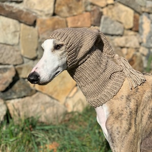 Greyhound hat, Greyhound - Galgo - Sighthound hat, greyhound hat