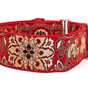Martingale  dog collar,  dog collar, dog collar for dogs, dog collar , dog collars,