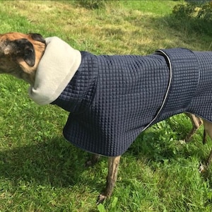 Greyhound coat, greyhound coat, greyhound clothing, greyhound winter coat,