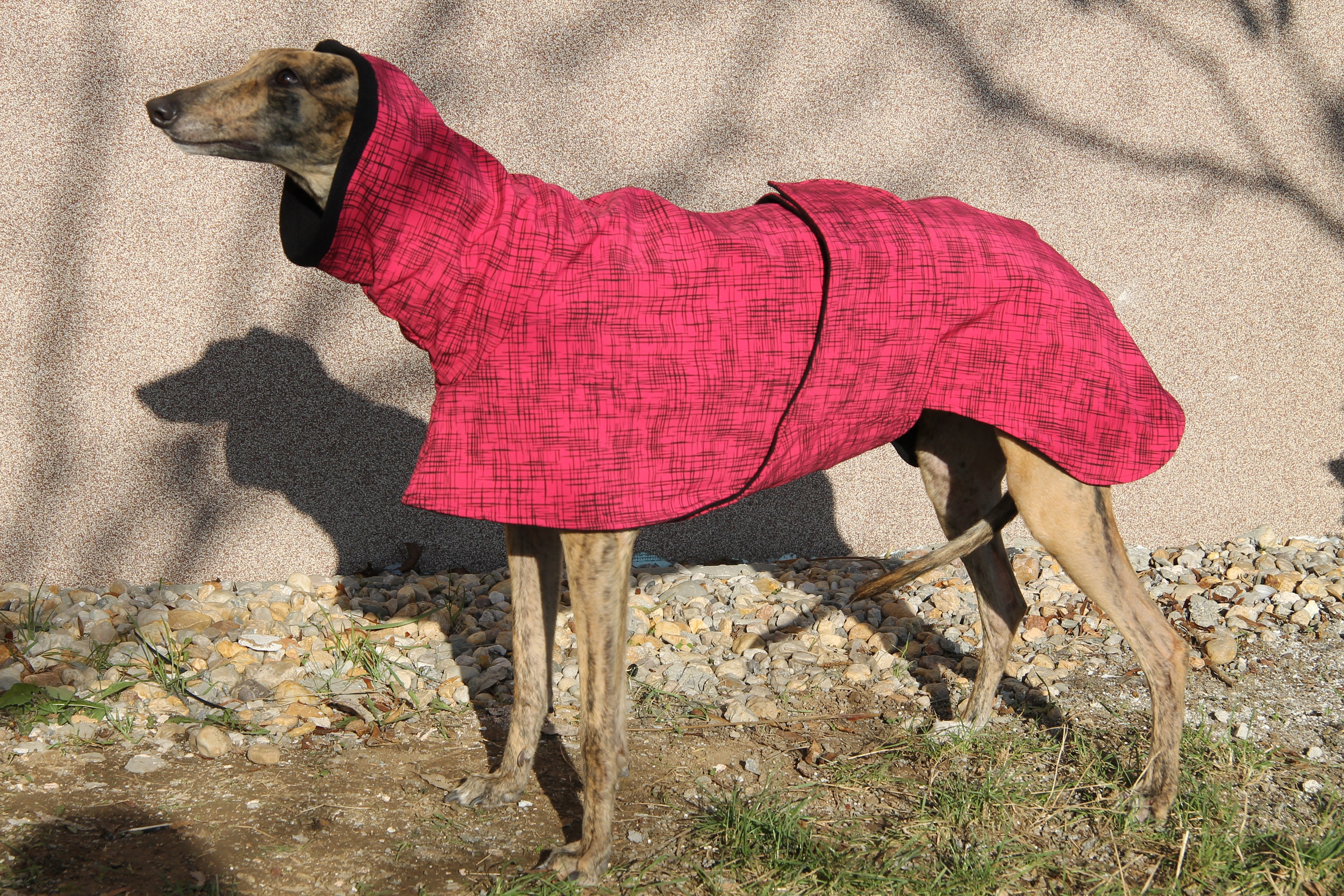 Gap greyhound cheap coats