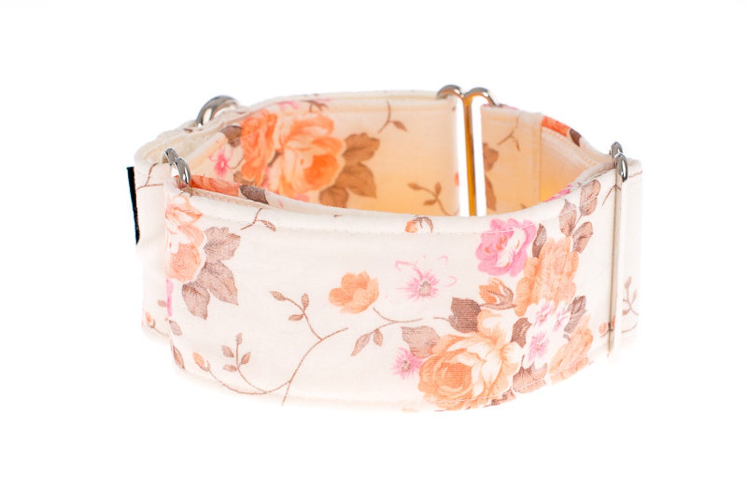 Martingale Collar,martingale Dog Collar, Greyhound Collar, 2 Inch, Dog