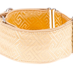 Martingale collar, greyhound collar, 2 inch, dog collar, martingale, gold, collars,pets,martingale collars